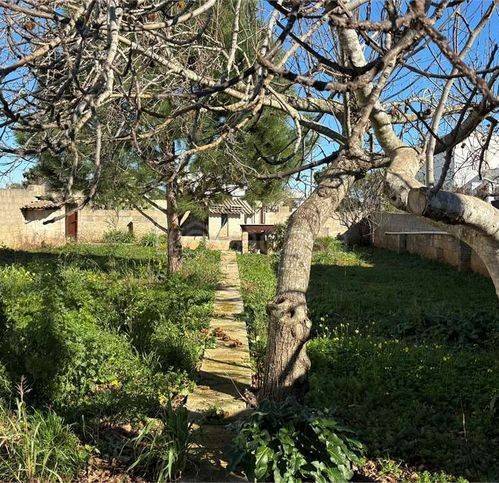 terreno agricolo in vendita ad Andrano