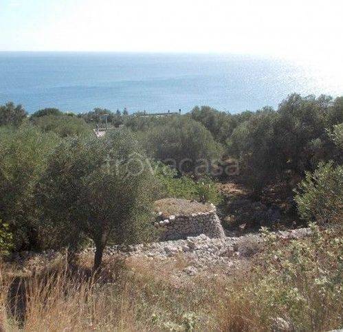 terreno agricolo in vendita ad Andrano