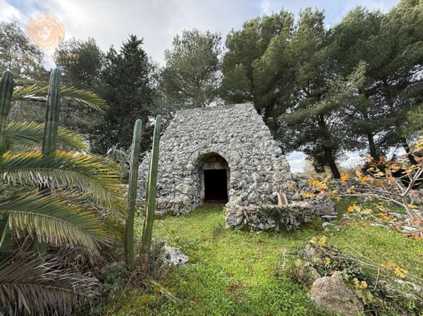 terreno agricolo in vendita ad Andrano