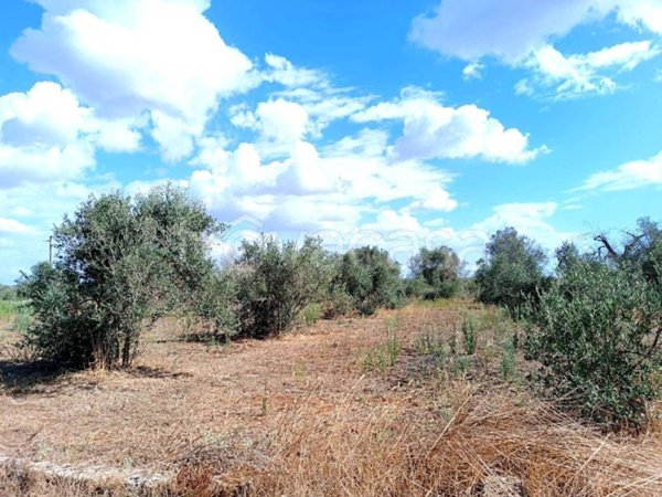 terreno agricolo in vendita ad Andrano