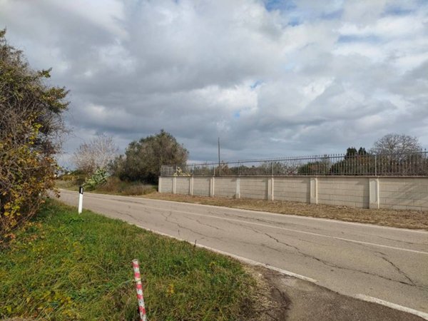 terreno agricolo in vendita ad Aradeo