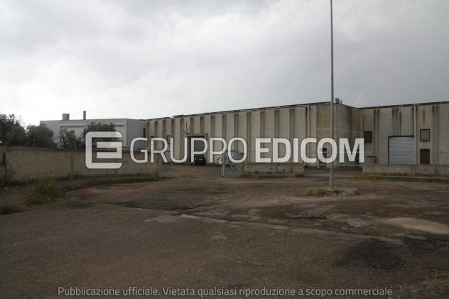 negozio in vendita ad Aradeo