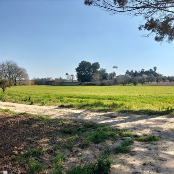 terreno agricolo in vendita ad Aradeo