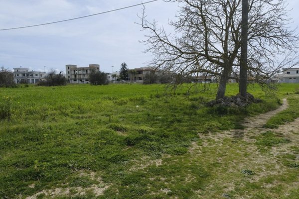terreno agricolo in vendita ad Aradeo