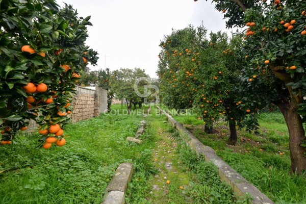 casa indipendente in vendita ad Arnesano