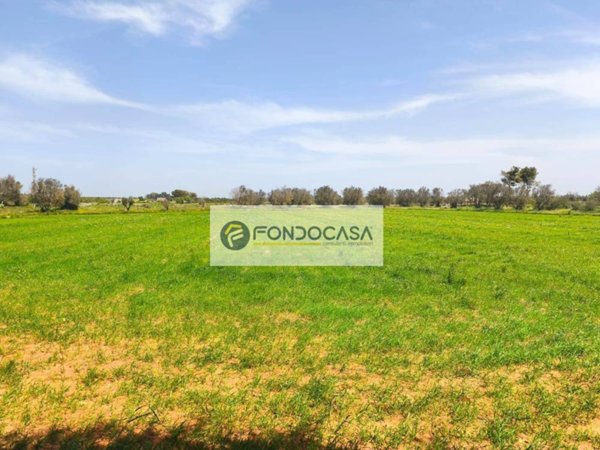 terreno agricolo in vendita ad Arnesano