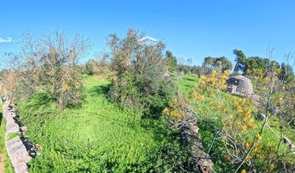 terreno agricolo in vendita a Bagnolo del Salento