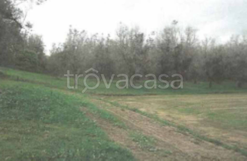 terreno agricolo in vendita a Botrugno