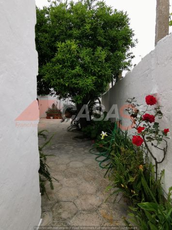 casa indipendente in vendita a Botrugno