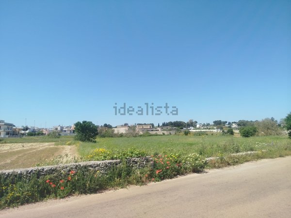 terreno agricolo in vendita a Botrugno