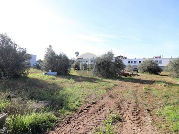 terreno agricolo in vendita a Calimera