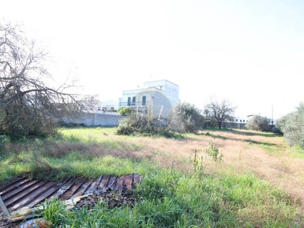 terreno agricolo in vendita a Calimera
