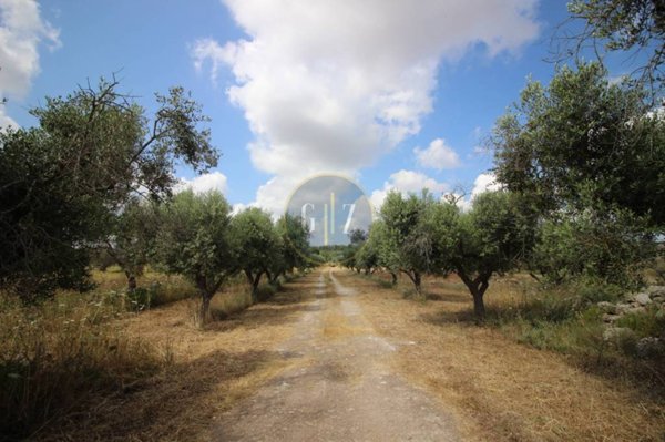 terreno agricolo in vendita a Calimera