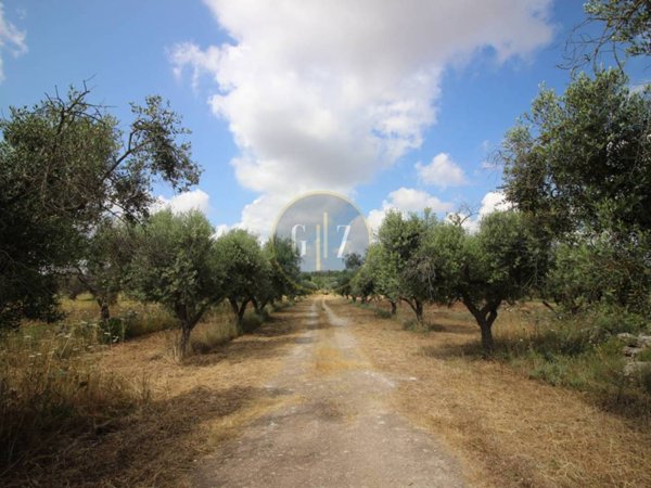 terreno agricolo in vendita a Calimera