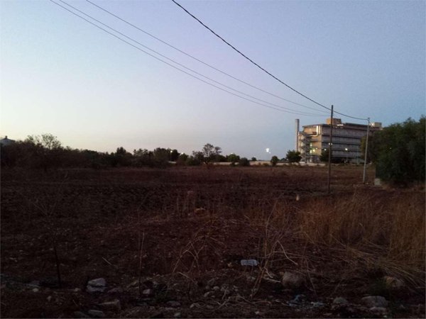 terreno agricolo in vendita a Campi Salentina