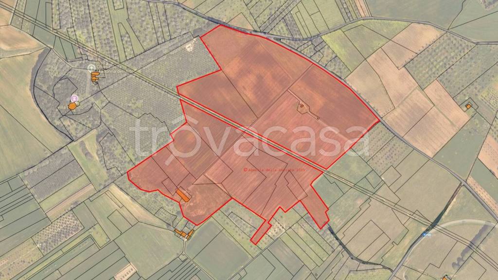 terreno agricolo in vendita a Campi Salentina