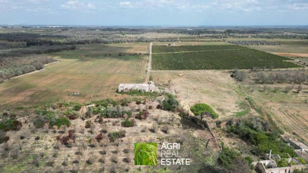 terreno agricolo in vendita a Campi Salentina