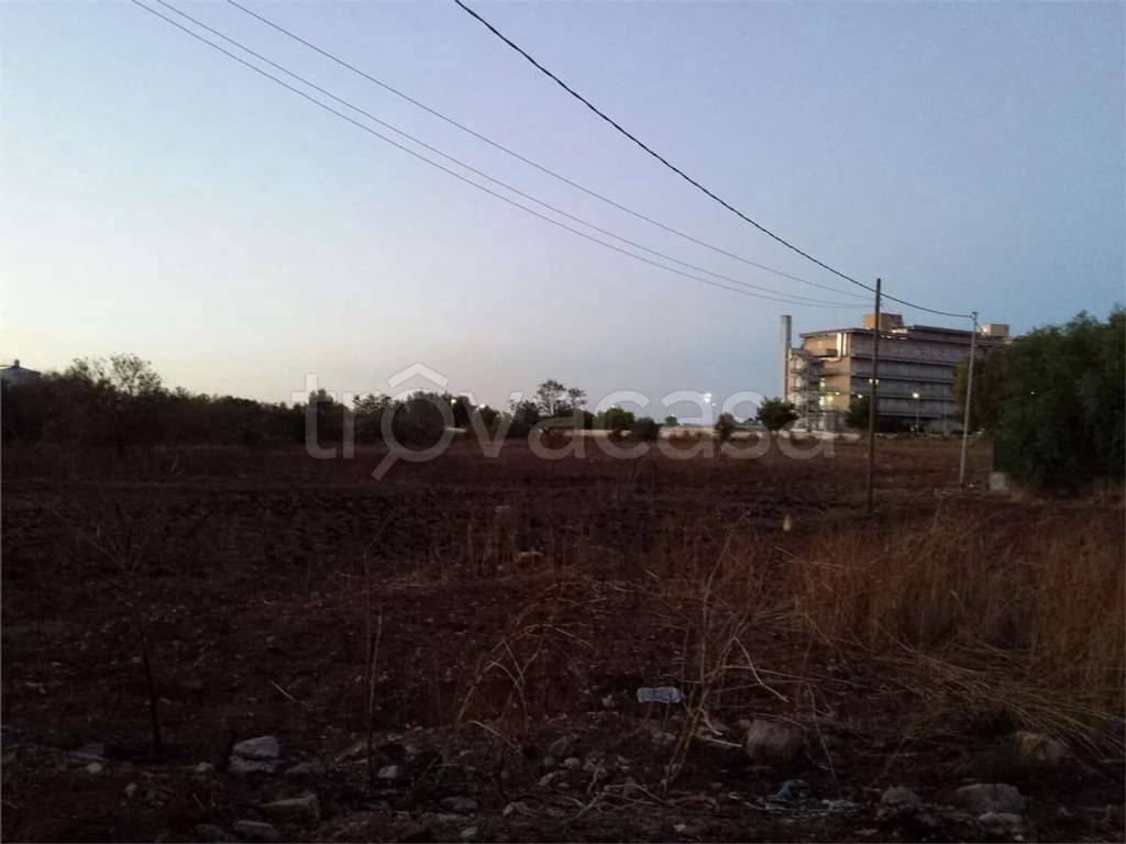 terreno agricolo in vendita a Campi Salentina