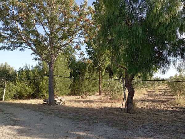 negozio in vendita a Campi Salentina