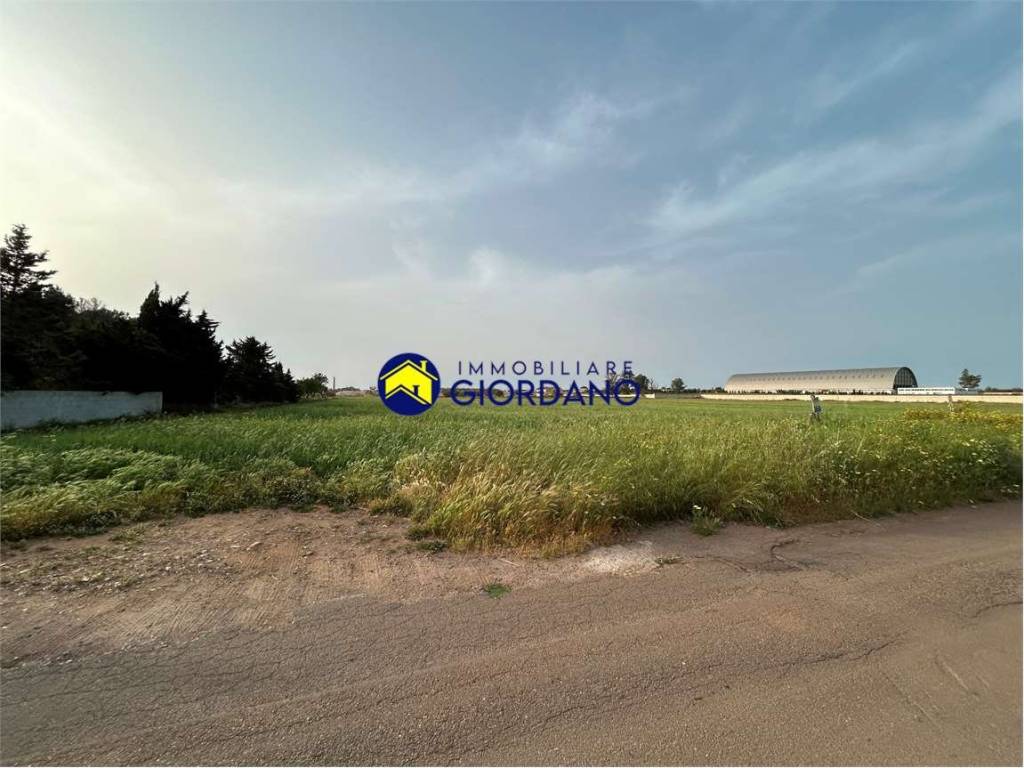 terreno agricolo in vendita a Campi Salentina