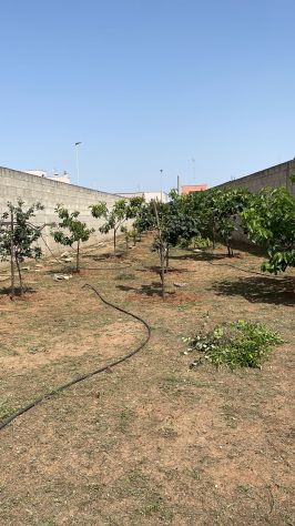 terreno agricolo in vendita a Caprarica di Lecce