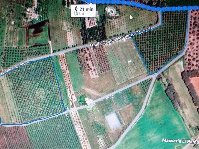 terreno agricolo in vendita a Carmiano