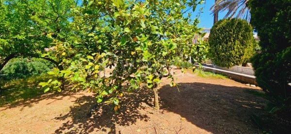 casa indipendente in vendita a Carmiano