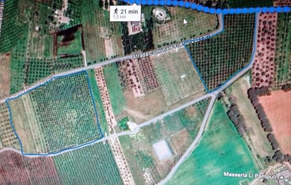 terreno agricolo in vendita a Carmiano