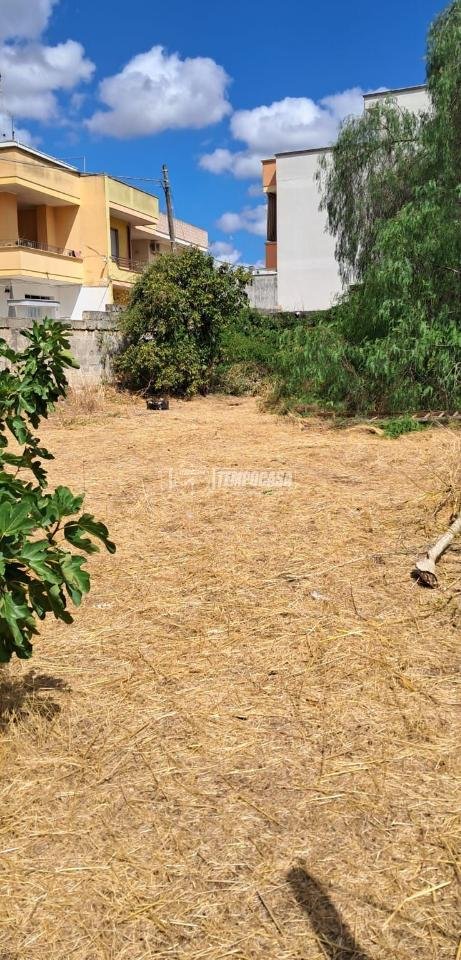 terreno edificabile in vendita a Carmiano