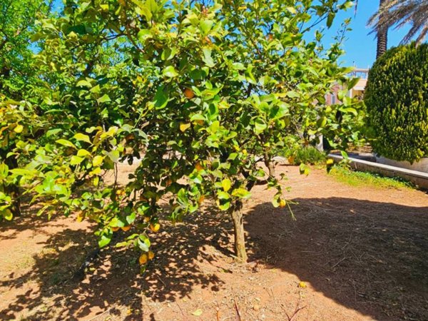 casa indipendente in vendita a Carmiano