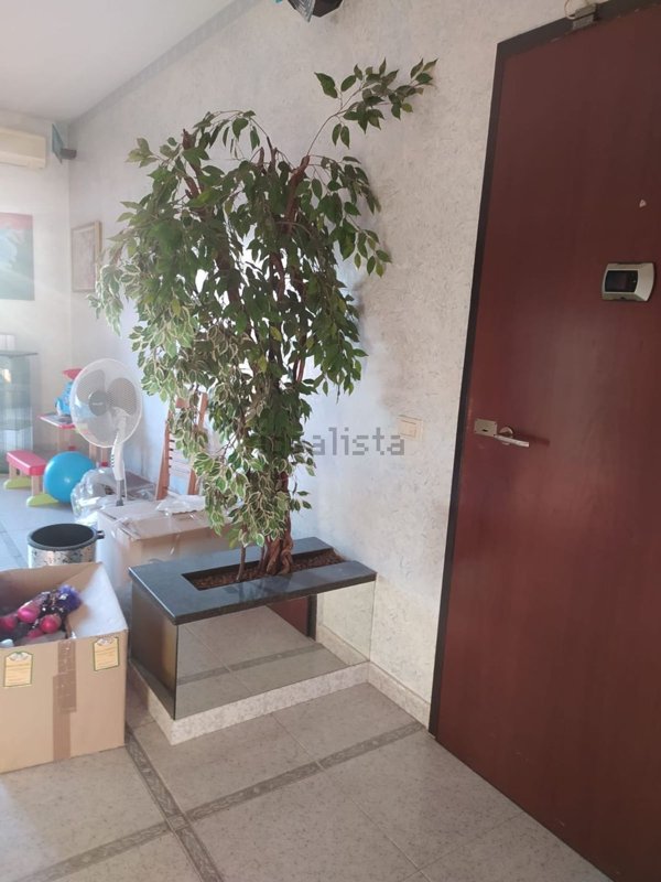 appartamento in vendita a Carmiano