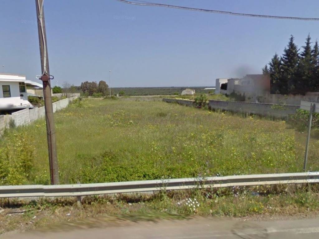 terreno agricolo in vendita a Carpignano Salentino