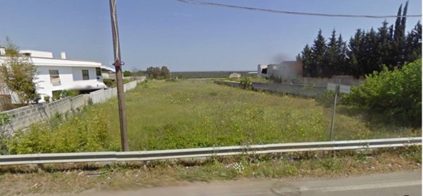 terreno agricolo in vendita a Carpignano Salentino