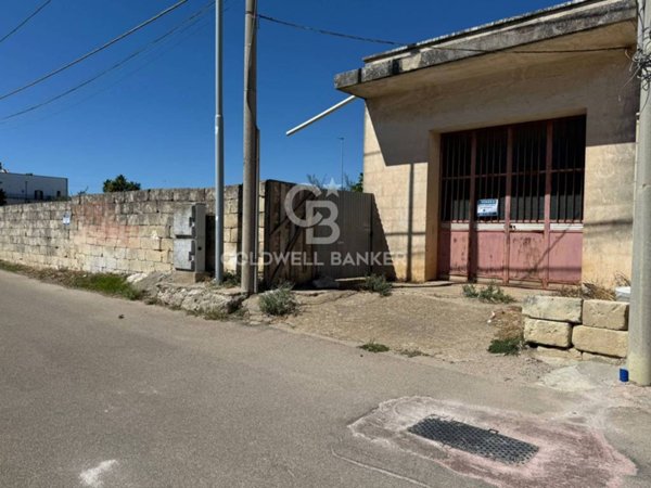 terreno agricolo in vendita a Carpignano Salentino
