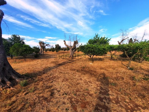 casa indipendente in vendita a Carpignano Salentino