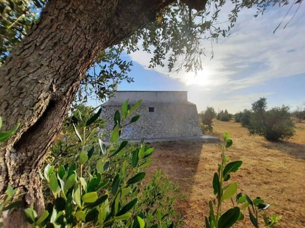 casa indipendente in vendita a Carpignano Salentino