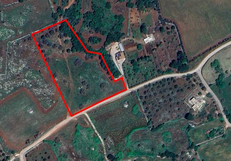 terreno agricolo in vendita a Carpignano Salentino