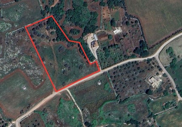 terreno agricolo in vendita a Carpignano Salentino