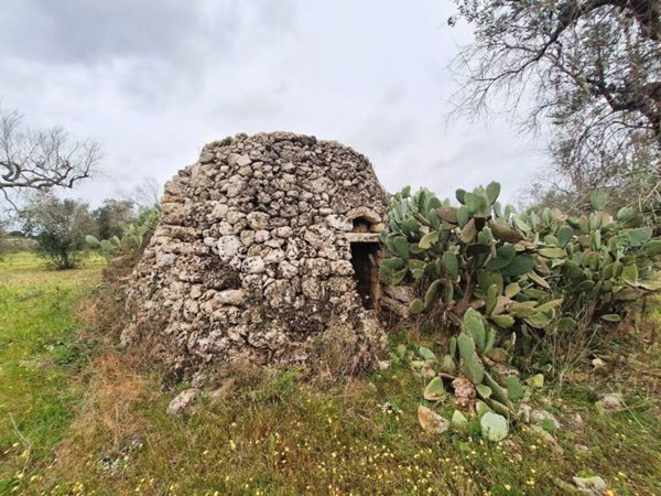 terreno agricolo in vendita a Carpignano Salentino