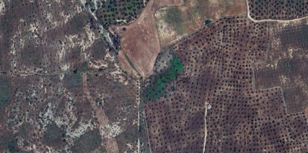 terreno agricolo in vendita a Carpignano Salentino