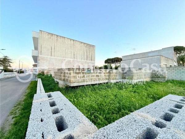 esavano in vendita a Carpignano Salentino