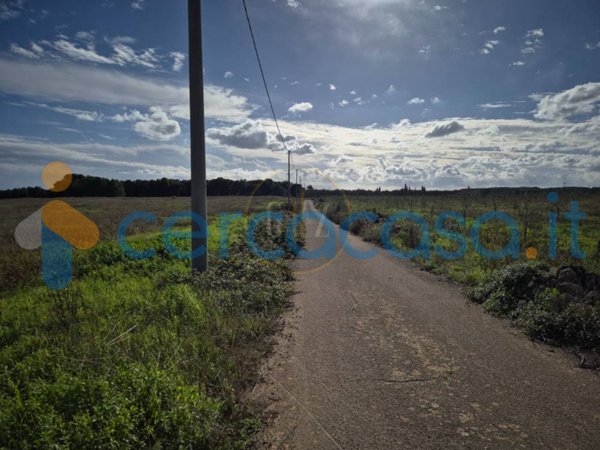 terreno agricolo in vendita a Carpignano Salentino