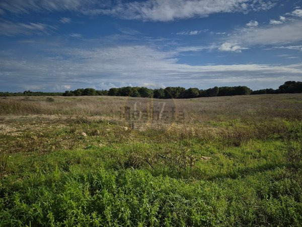 terreno agricolo in vendita a Carpignano Salentino