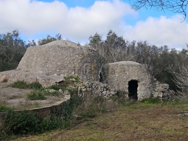 terreno agricolo in vendita a Carpignano Salentino