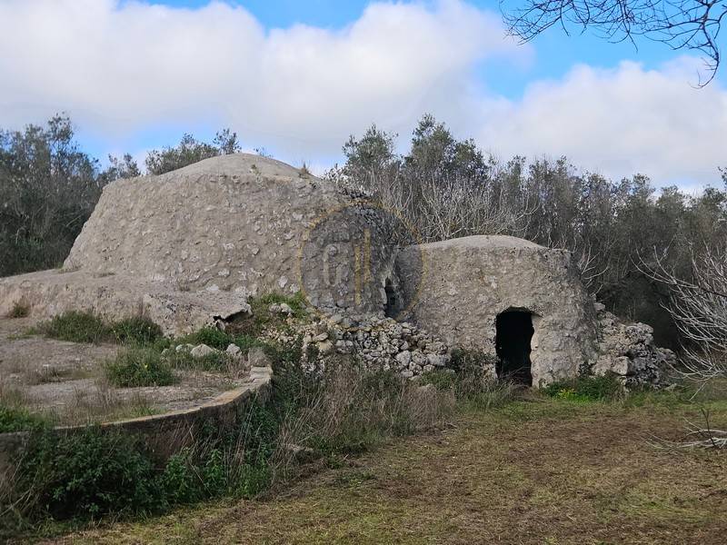 terreno agricolo in vendita a Carpignano Salentino