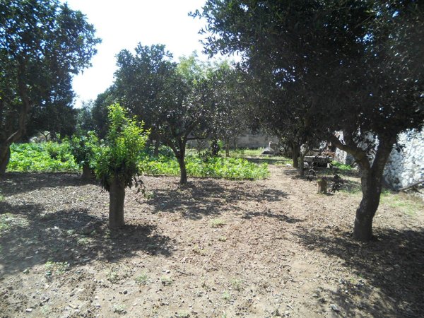 appartamento in vendita a Carpignano Salentino