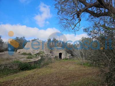 terreno agricolo in vendita a Carpignano Salentino