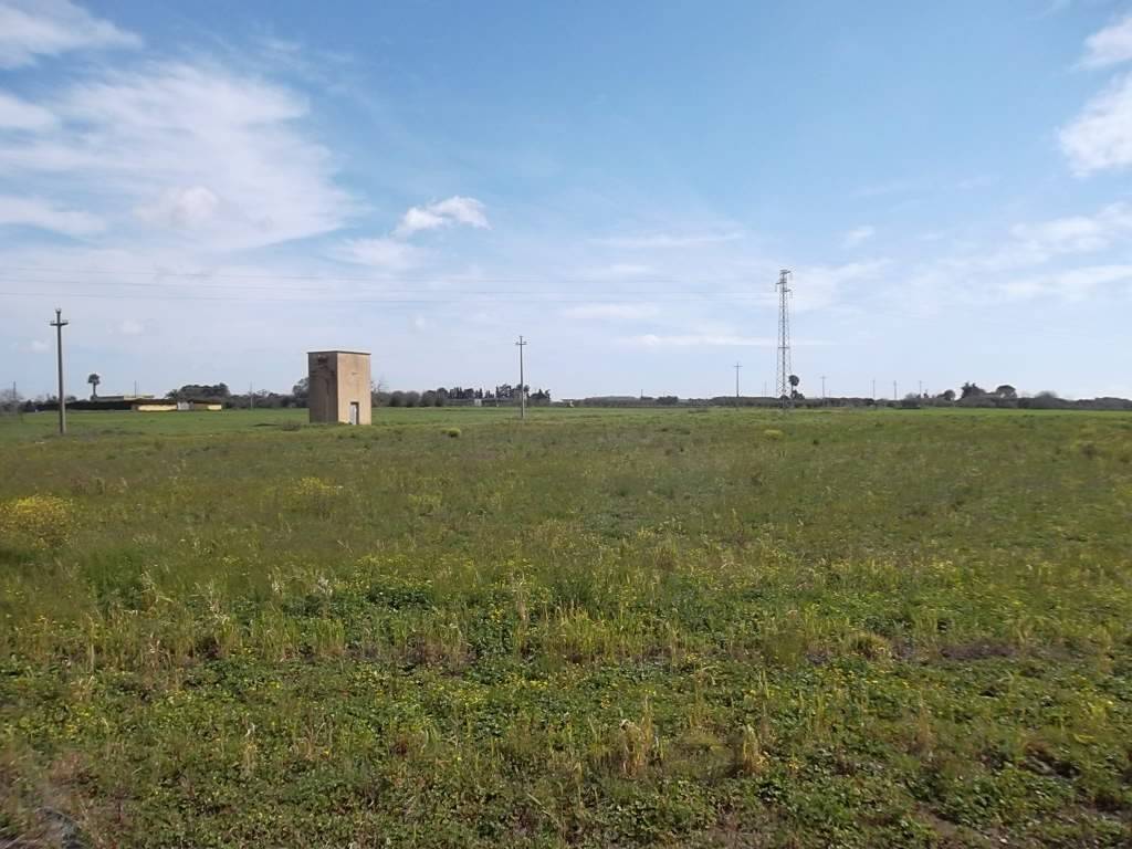 terreno agricolo in vendita a Casarano