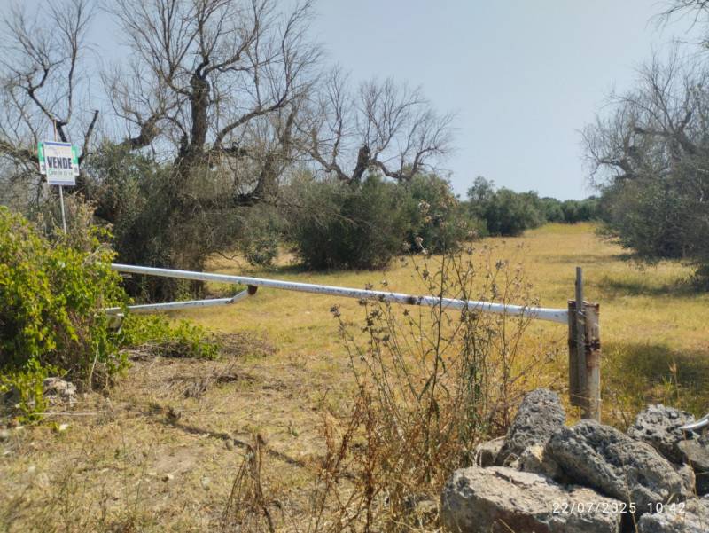 casa indipendente in vendita a Casarano