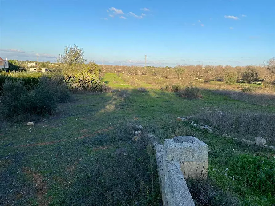 terreno agricolo in vendita a Casarano